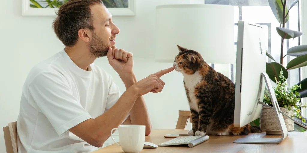 Comment mettre en œuvre le télétravail au bureau?